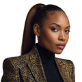 Dark Brown Ponytail